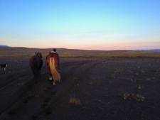 Iceland-Iceland Shorts-Sheep Round-Up on Horseback